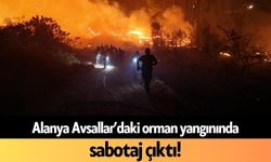 Alanya Avsallar’daki orman yangınında sabotaj çıktı!