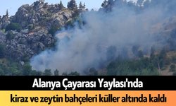 Alanya Çayarası Yaylası'nda kiraz ve zeytin bahçeleri küller altında kaldı