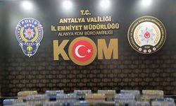 Antalya'da kaçakçılara ağır darbe