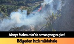 Alanya Mahmutlar'da orman yangını çıktı