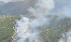 Son dakika! Alanya Sapadere'de orman yangını başladı