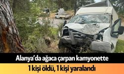 Alanya’da ağaca çarpan kamyonette 1 kişi öldü, 1 kişi yaralandı