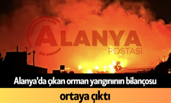 Alanya'da çıkan orman yangınının bilançosu ortaya çıktı