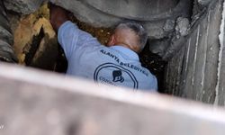Alanya’da rögar giderine düşen kedi kurtarıldı