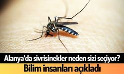 Alanya'da sivrisinekler neden sizi seçiyor? Bilim insanları açıkladı