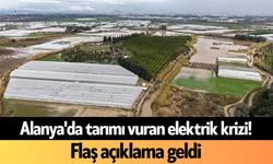 Alanya'da tarımı vuran elektrik krizi! Flaş açıklama geldi