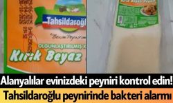 Alanyalılar evinizdeki peyniri kontrol edin! Tahsildaroğlu peynirinde bakteri alarmı