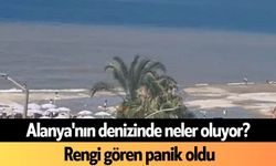 Alanya'nın denizinde neler oluyor?