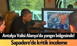 Antalya Valisi Alanya'da yangın bölgesinde! Sapadere'de kritik inceleme