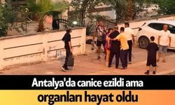 Antalya'da canice ezildi ama organları hayat oldu