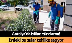 Antalya’da istilacı tür alarmı! Evdeki bu sular tehlike saçıyor