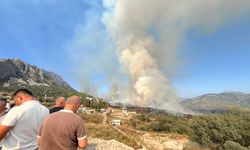 Antalya'da orman yangını kontrol altına alındı: 50 hektar küle döndü