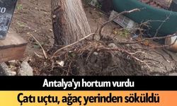 Antalya'yı hortum vurdu: Çatı uçtu, ağaç yerinden söküldü