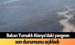 Bakan Yumaklı Alanya'daki yangının son durumunu açıkladı