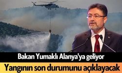 Bakan Yumaklı Alanya'ya geliyor: Yangının son durumunu açıklayacak