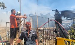Antalya'da baraka yangını: Alevlere teslim oldu