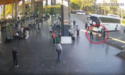 Bursa'dan Antalya'ya usulsüzce taşıdılar