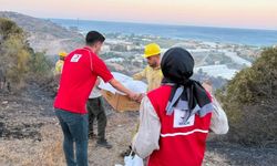 Kızılay'dan Alanya'da yangın bölgesine kumanya