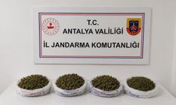 Alanya'da kaçakçılar affedilmedi: Cezasız kalmadılar