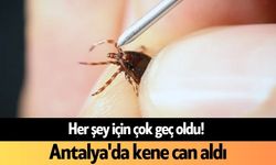 Antalya'da kene can aldı! Acı haber geldi