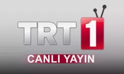 TRT 1 CANLI İZLE l İspanya-Arjantin maçı nasıl canlı izlenir?