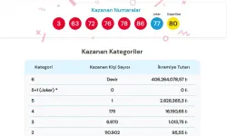 1 Temmuz 2026 Sayısal Loto sonuçları açıklandı: İkramiyeyi kim kazandı?