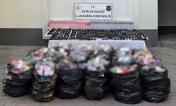 Manavgat'ta 4,8 milyonluk operasyon