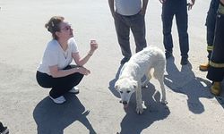Manavgat'ta günler süren inleme ekipleri harekete geçirdi