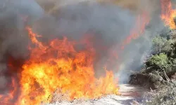 Manisa'da çıkan orman yangınında alevler İzmir-İstanbul Otoyolu'na ulaştı