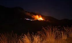 Marmaris yangınının nedeni belli oldu!