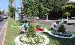 Alanya'da peyzaj çalışmalarına ara yok
