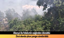 Alanya’da zirai alanda çıkan yangın söndürüldü