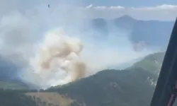 Manavgat'ta yangına havadan,karadan müdahale sürüyor