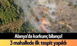 Alanya'da korkunç bilanço! 3 mahallede ilk tespit yapıldı