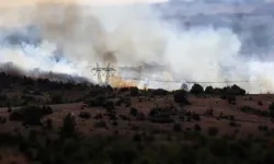 Son dakika l Kocaeli Gebze'de orman yangını çıktı
