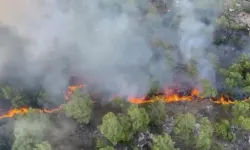 Antalya Kemer'de alevlere havadan müdahale