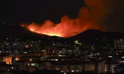 Son dakika l Ankara Mamak'ta ağaçlık alanda yangin çıktı