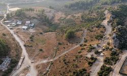 Manavgat’ta sokak hayvanlarına 75 dönümlük yaşam alanı müjdesi