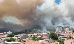 Son dakika l Edremit'te yangın kontrol altında