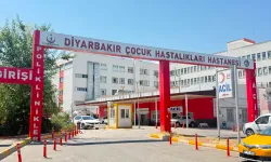 Diyarbakır’da kuduz alarmı