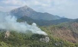 Antalya'da orman yangını söndürüldü
