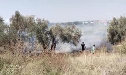 Manavgat’ta yangın yerleşime ulaşmadan söndürüldü