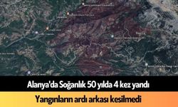 Alanya'da Soğanlık 50 yılda 4 kez yandı