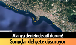 Alanya denizinde acil durum! Sonuçlar d*hşete düşürüyor