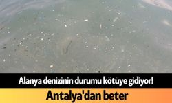 Alanya denizinin durumu kötüye gidiyor! Antalya'dan beter