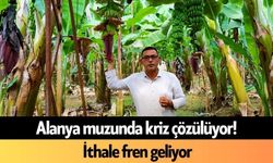 Alanya muzunda kriz çözülüyor! İthale fren geliyor