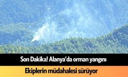 Son Dakika! Alanya'da orman yangını başladı