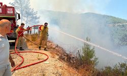 Orman yangınları soruşturmasında 6 tutuklama