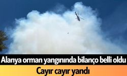 Alanya orman yangınında bilanço belli oldu! Cayır cayır yandı