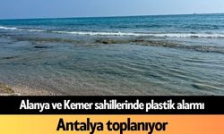 Alanya ve Kemer sahillerinde plastik alarmı: Antalya toplanıyor